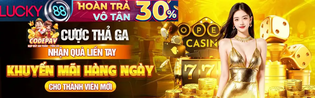 Giấy phép và quy định của df99 code